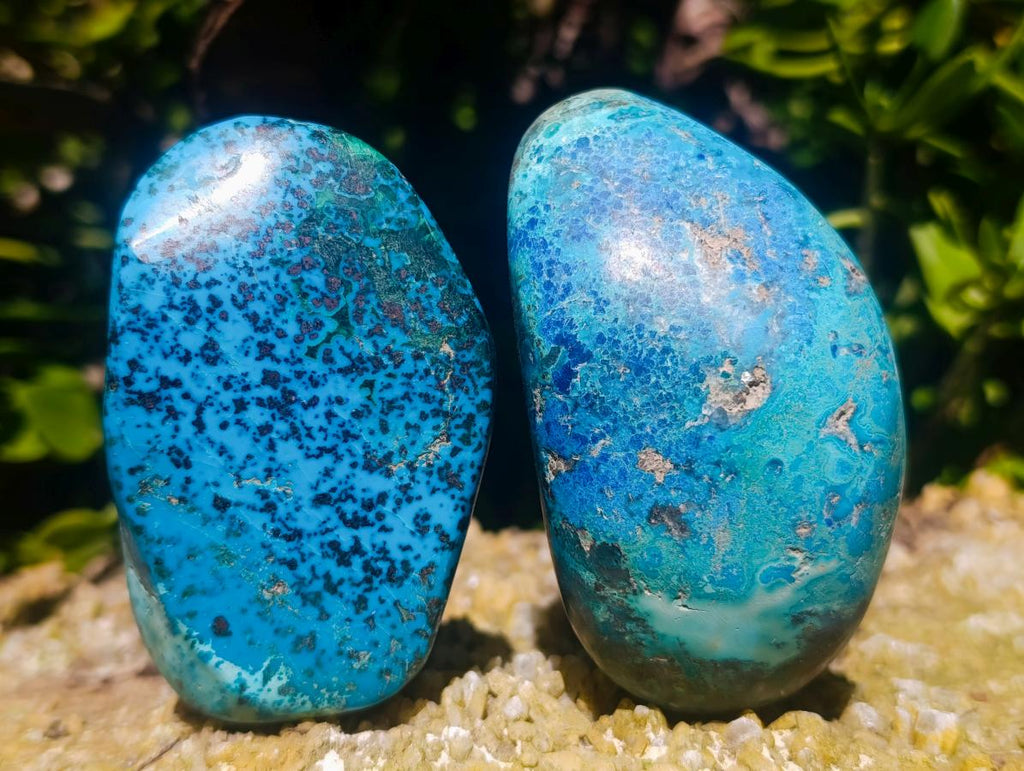 Polished Shattuckite Free Forms x 12 From Kaokoveld, Namibia - Toprock Gemstones and Minerals 