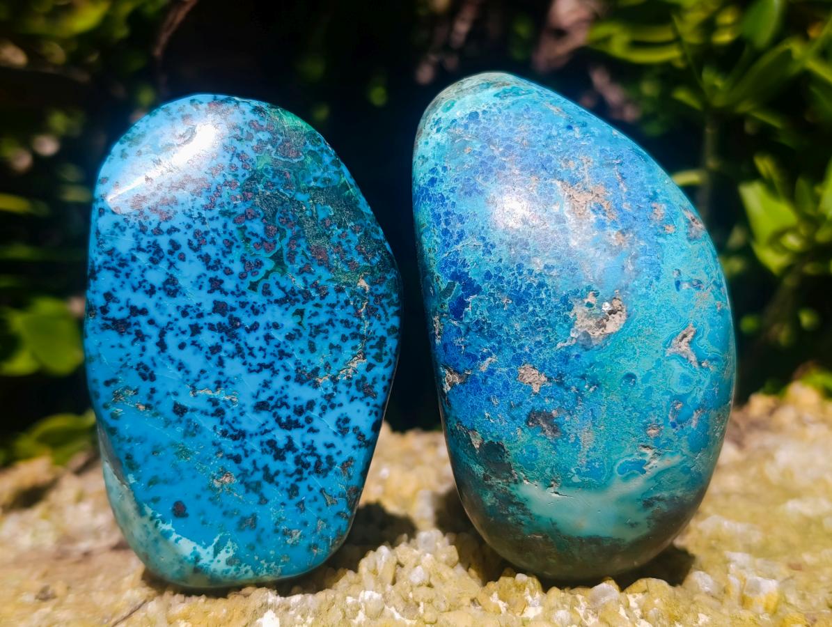 Polished Shattuckite Free Forms x 12 From Kaokoveld, Namibia - Toprock Gemstones and Minerals 