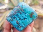 Polished Shattuckite Free Forms x 12 From Kaokoveld, Namibia - Toprock Gemstones and Minerals 