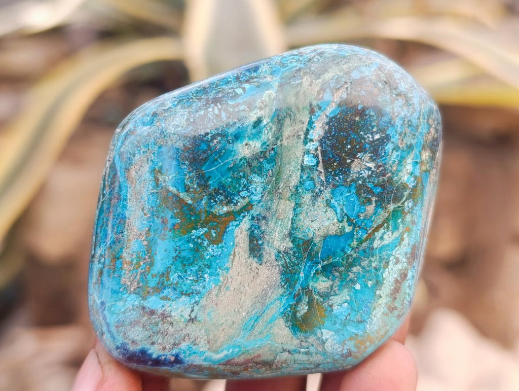 Polished Shattuckite Free Forms x 12 From Kaokoveld, Namibia - Toprock Gemstones and Minerals 