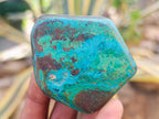 Polished Shattuckite Free Forms x 12 From Kaokoveld, Namibia - Toprock Gemstones and Minerals 
