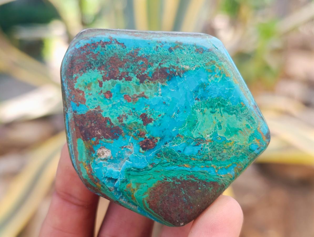 Polished Shattuckite Free Forms x 12 From Kaokoveld, Namibia - Toprock Gemstones and Minerals 