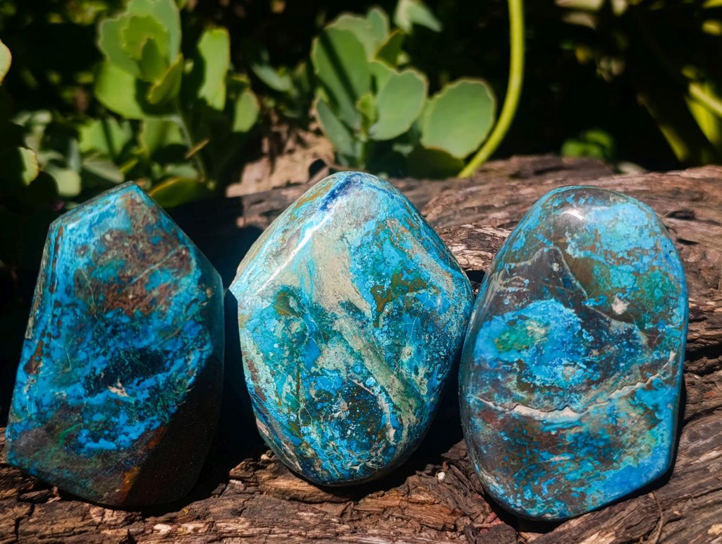 Polished Shattuckite Free Forms x 12 From Kaokoveld, Namibia - Toprock Gemstones and Minerals 