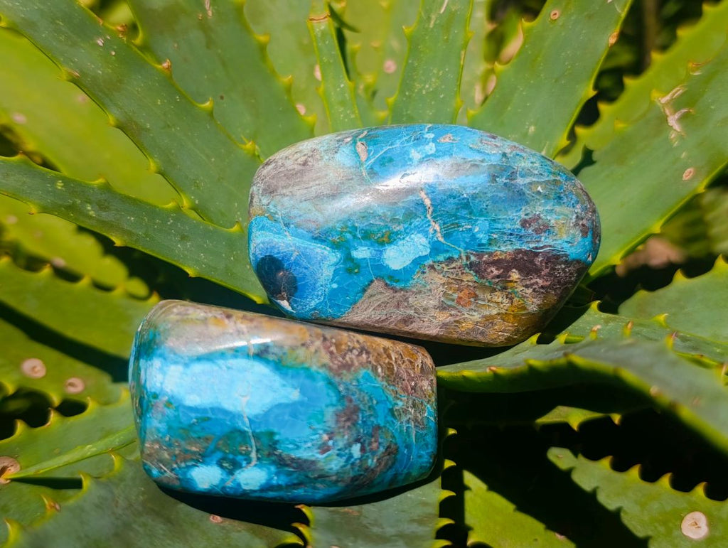 Polished Shattuckite Free Forms x 12 From Kaokoveld, Namibia - Toprock Gemstones and Minerals 