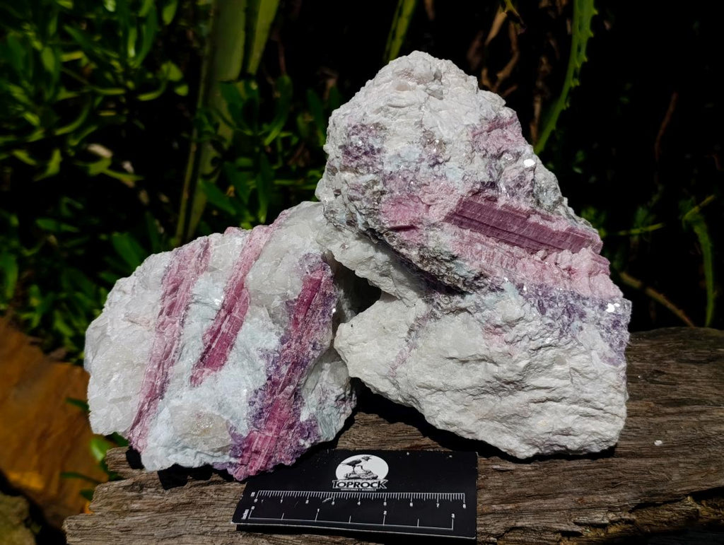 Natural Large Pink Rubellite Tourmaline Specimens x 2 From Karibib, Namibia - Toprock Gemstones and Minerals 