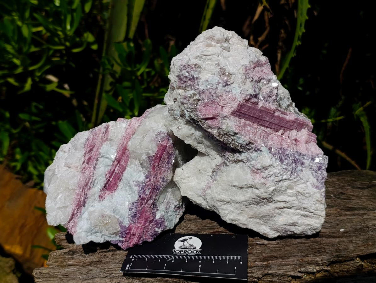 Natural Large Pink Rubellite Tourmaline Specimens x 2 From Karibib, Namibia - Toprock Gemstones and Minerals 