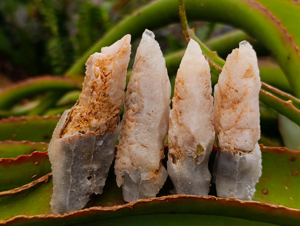 Natural Drusy Quartz Coated Spearhead Calcite Crystals x 35 From Albert's Mountain, Lesotho - Toprock Gemstones and Minerals 