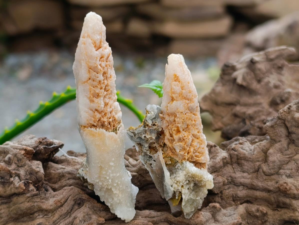 Natural Drusy Quartz Coated Spearhead Calcite Crystals x 35 From Albert's Mountain, Lesotho - Toprock Gemstones and Minerals 