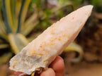 Natural Drusy Quartz Coated Spearhead Calcite Crystals x 35 From Albert's Mountain, Lesotho - Toprock Gemstones and Minerals 