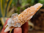 Natural Drusy Quartz Coated Spearhead Calcite Crystals x 35 From Albert's Mountain, Lesotho - Toprock Gemstones and Minerals 