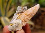 Natural Drusy Quartz Coated Spearhead Calcite Crystals x 35 From Albert's Mountain, Lesotho - Toprock Gemstones and Minerals 