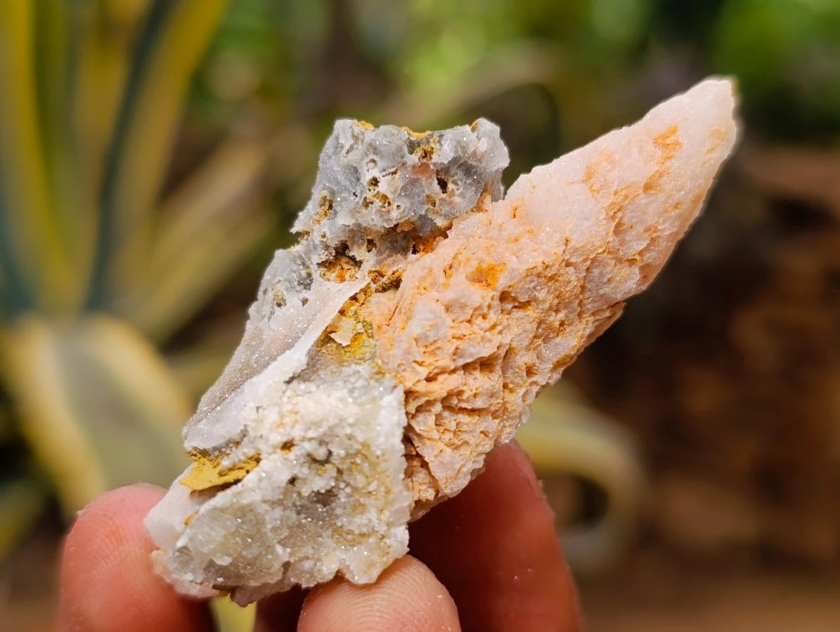 Natural Drusy Quartz Coated Spearhead Calcite Crystals x 35 From Albert's Mountain, Lesotho - Toprock Gemstones and Minerals 