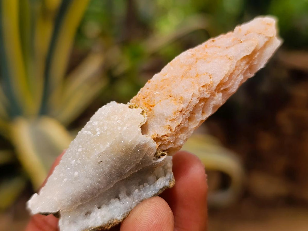Natural Drusy Quartz Coated Spearhead Calcite Crystals x 35 From Albert's Mountain, Lesotho - Toprock Gemstones and Minerals 