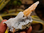 Natural Drusy Quartz Coated Spearhead Calcite Crystals x 35 From Albert's Mountain, Lesotho - Toprock Gemstones and Minerals 