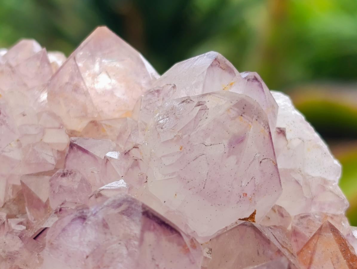 Natural Ametrine Spirit Quartz Clusters x 2 From Boekenhouthoek, South Africa - Toprock Gemstones and Minerals 