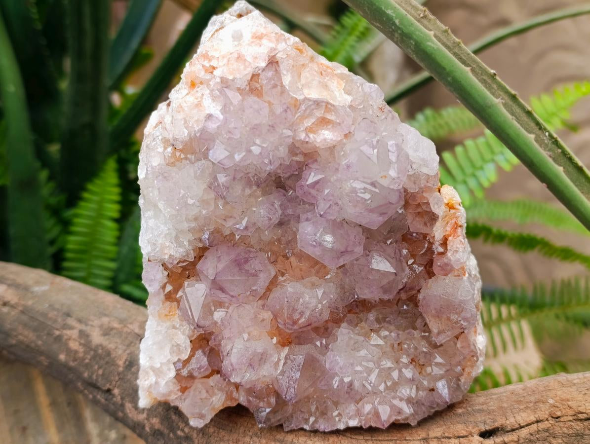 Natural Ametrine Spirit Quartz Clusters x 2 From Boekenhouthoek, South Africa - Toprock Gemstones and Minerals 