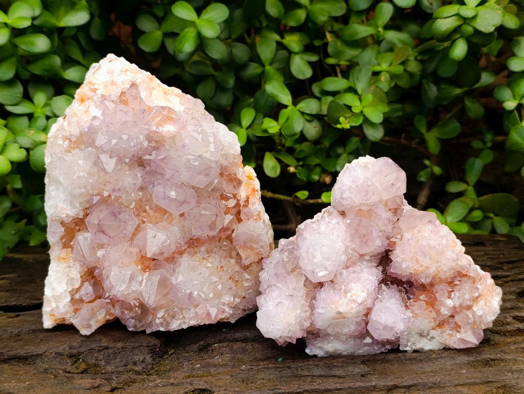 Natural Ametrine Spirit Quartz Clusters x 2 From Boekenhouthoek, South Africa - Toprock Gemstones and Minerals 