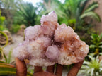 Natural Ametrine Spirit Quartz Clusters x 2 From Boekenhouthoek, South Africa - Toprock Gemstones and Minerals 