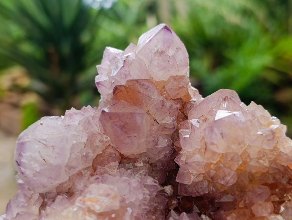Natural Ametrine Spirit Quartz Clusters x 2 From Boekenhouthoek, South Africa - Toprock Gemstones and Minerals 