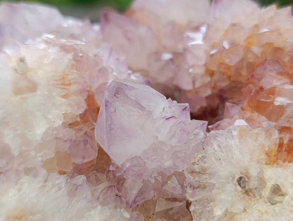 Natural Ametrine Spirit Quartz Clusters x 2 From Boekenhouthoek, South Africa - Toprock Gemstones and Minerals 