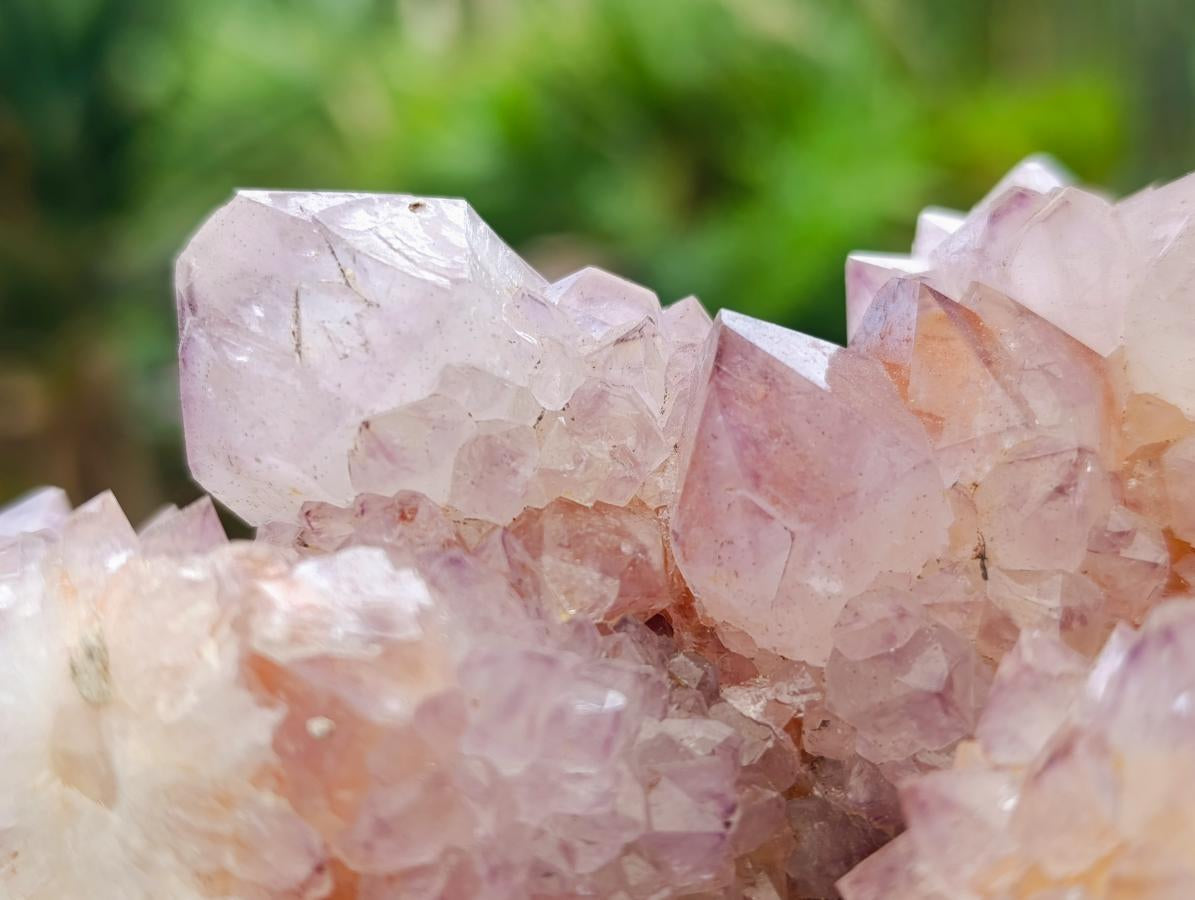 Natural Ametrine Spirit Quartz Clusters x 2 From Boekenhouthoek, South Africa - Toprock Gemstones and Minerals 
