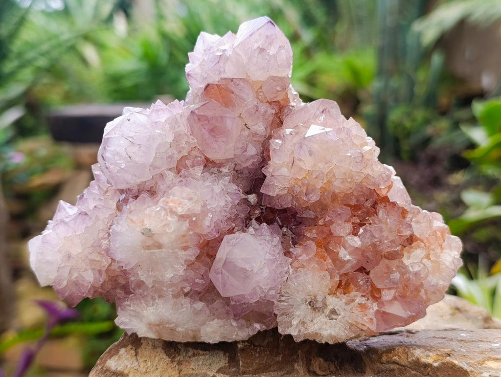 Natural Ametrine Spirit Quartz Clusters x 2 From Boekenhouthoek, South Africa - Toprock Gemstones and Minerals 