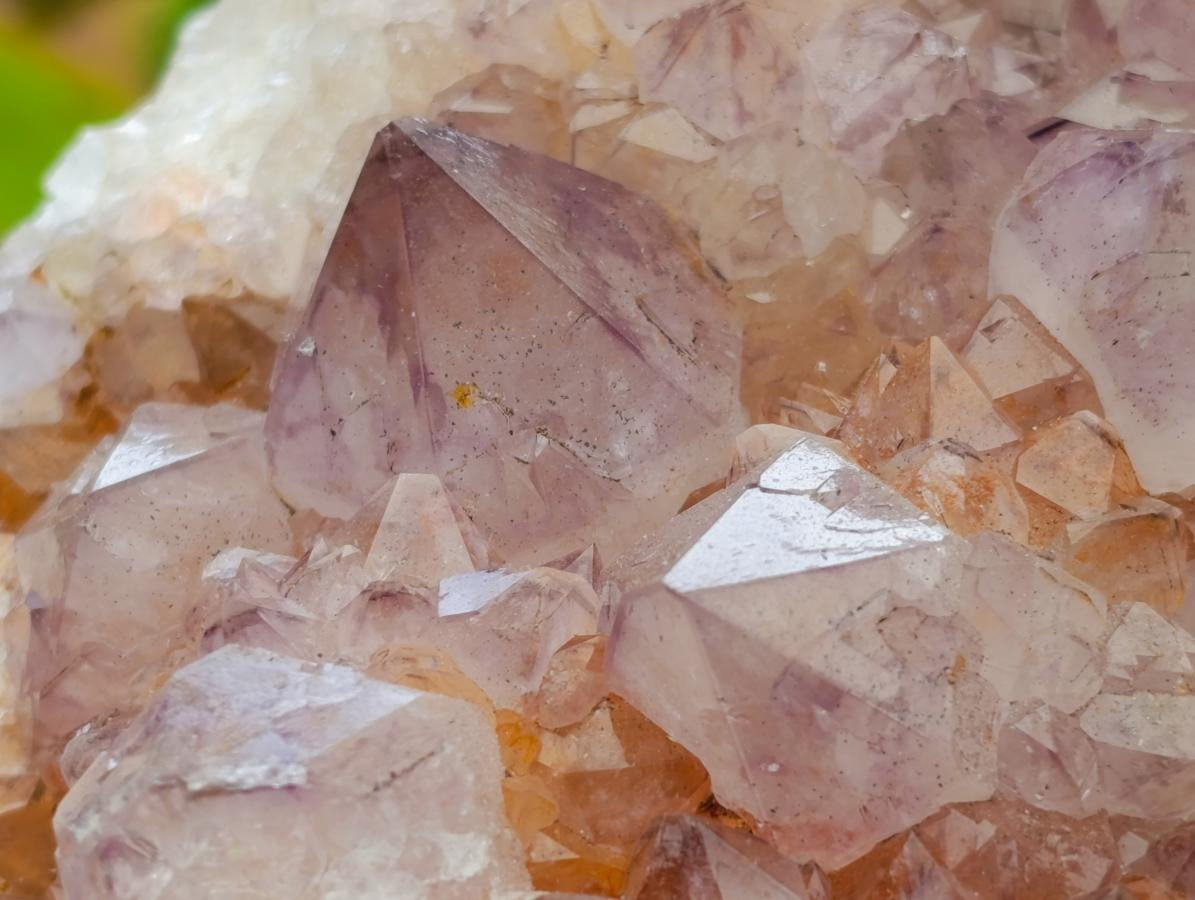 Natural Ametrine Spirit Quartz Clusters x 2 From Boekenhouthoek, South Africa - Toprock Gemstones and Minerals 
