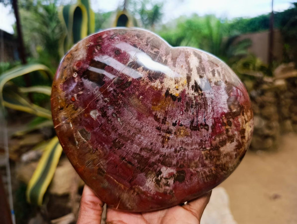 Polished Large Red Podocarpus Petrified Wood Heart x 1 From Mahajanga, Madagascar - Toprock Gemstones and Minerals 