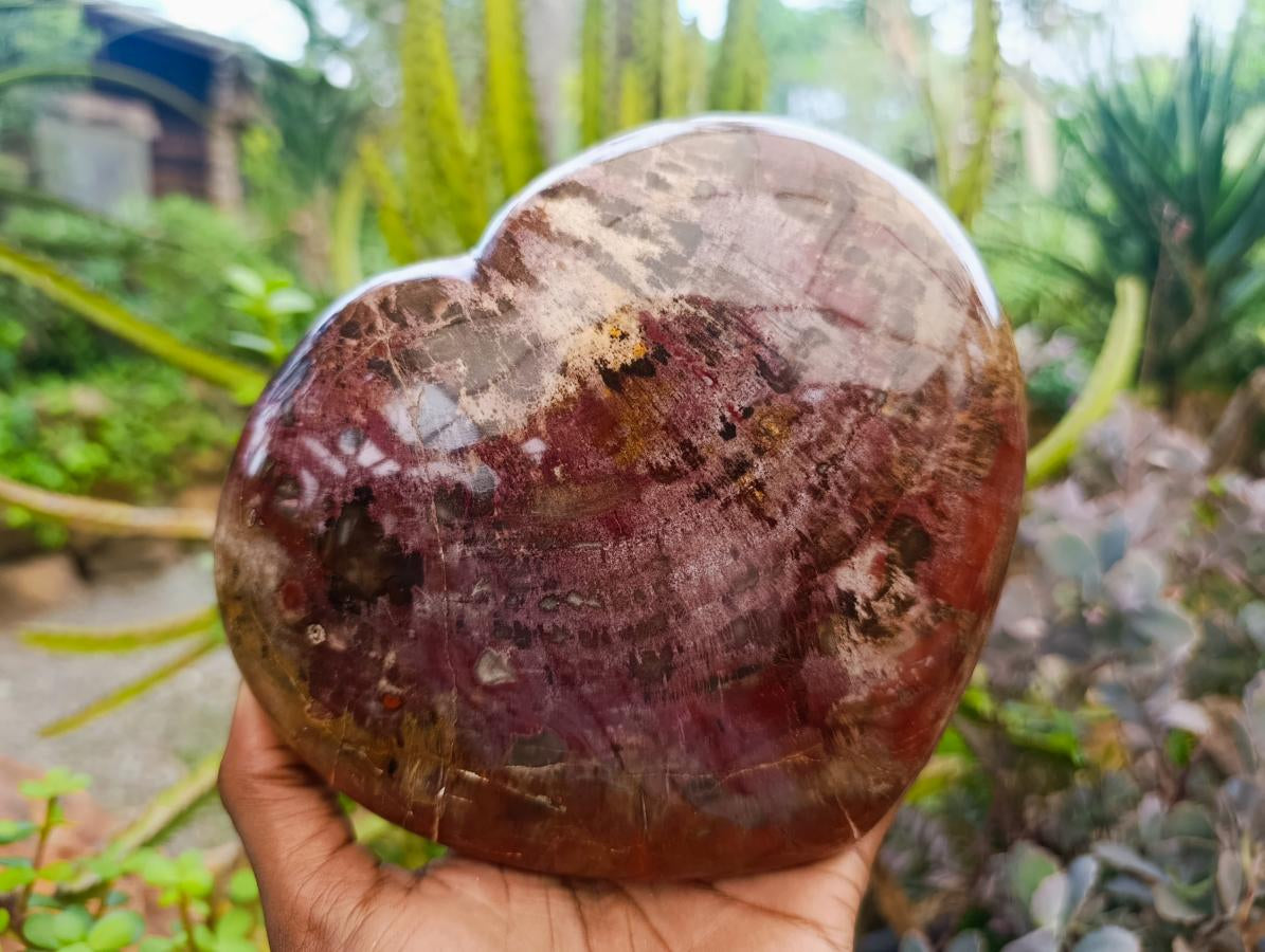 Polished Large Red Podocarpus Petrified Wood Heart x 1 From Mahajanga, Madagascar - Toprock Gemstones and Minerals 