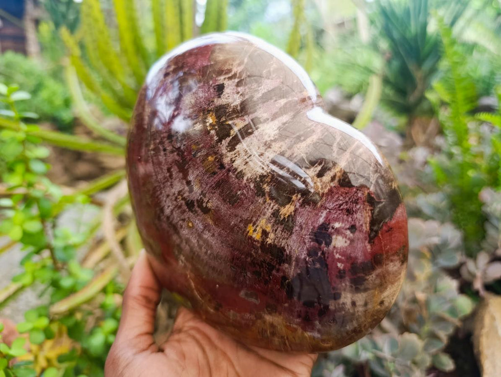 Polished Large Red Podocarpus Petrified Wood Heart x 1 From Mahajanga, Madagascar - Toprock Gemstones and Minerals 