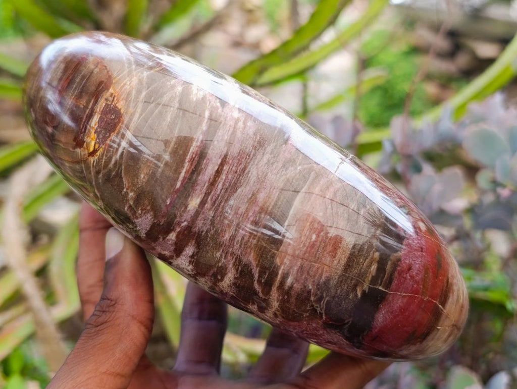 Polished Large Red Podocarpus Petrified Wood Heart x 1 From Mahajanga, Madagascar - Toprock Gemstones and Minerals 