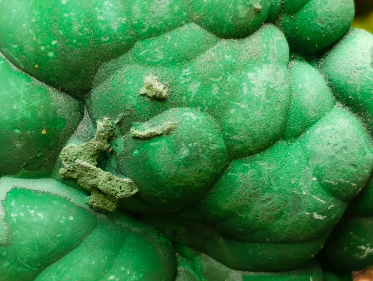 Natural Botryoidal Malachite Specimens x 3 From Congo - Toprock Gemstones and Minerals 