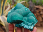 Natural Botryoidal Malachite Specimens x 3 From Congo - Toprock Gemstones and Minerals 