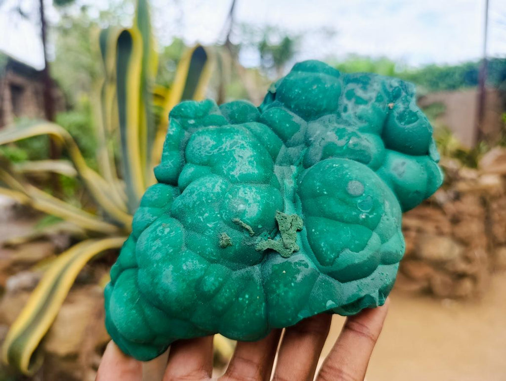 Natural Botryoidal Malachite Specimens x 3 From Congo - Toprock Gemstones and Minerals 