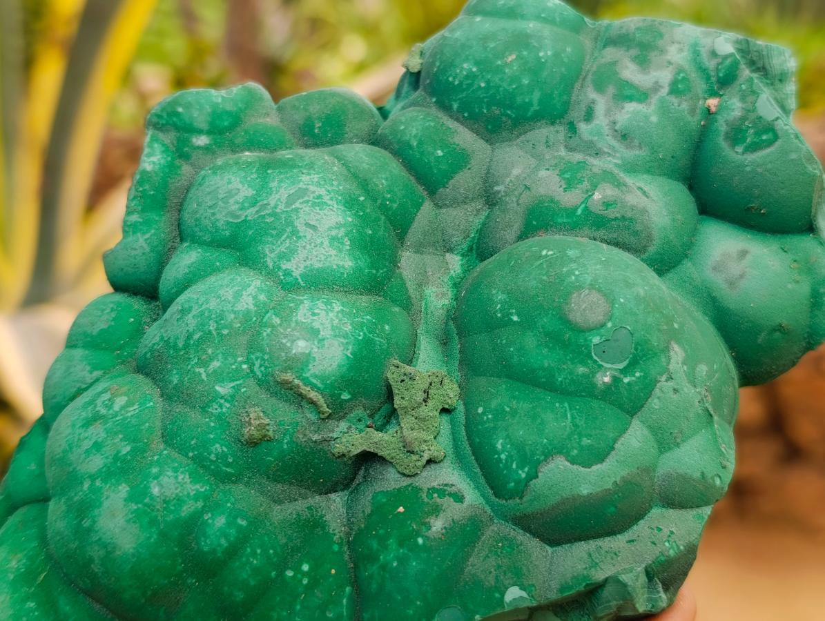 Natural Botryoidal Malachite Specimens x 3 From Congo - Toprock Gemstones and Minerals 