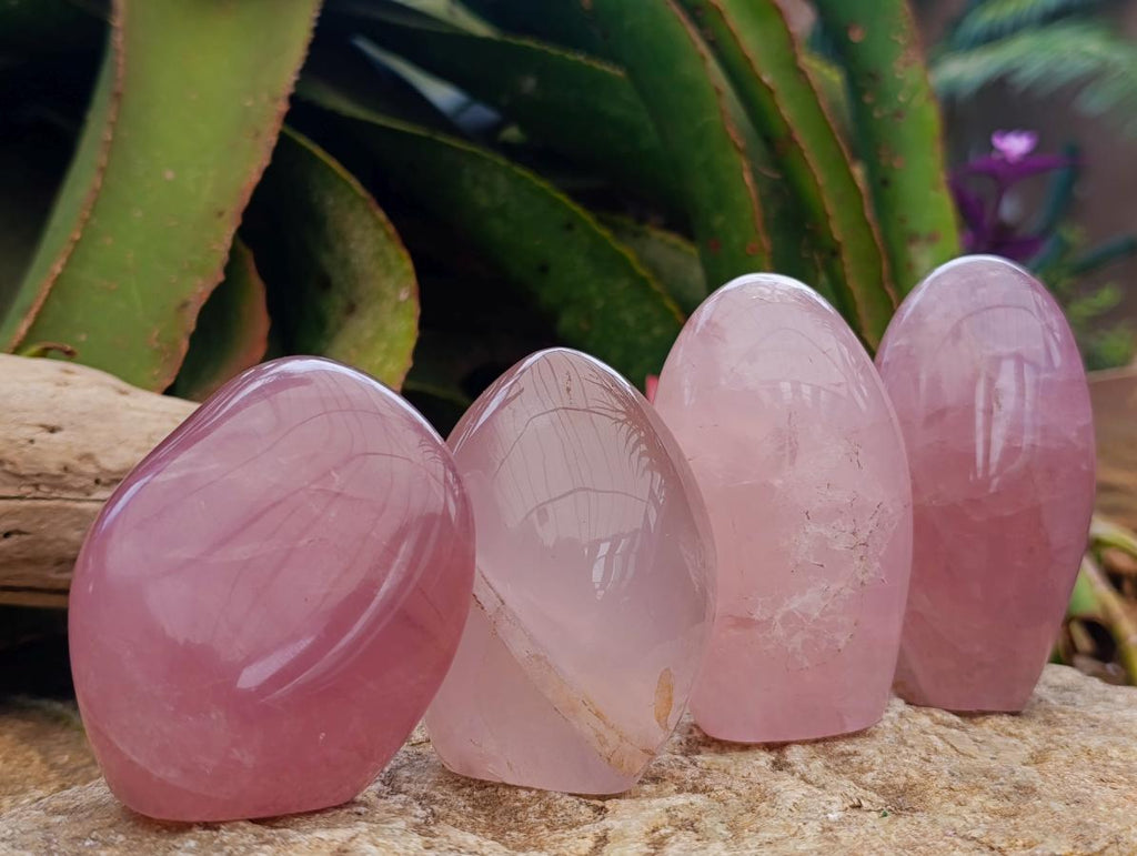 Polished Gemmy Rose Quartz Standing Display Pieces x 4 From Madagascar - Toprock Gemstones and Minerals 