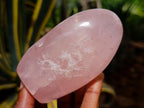 Polished Gemmy Rose Quartz Standing Display Pieces x 4 From Madagascar - Toprock Gemstones and Minerals 