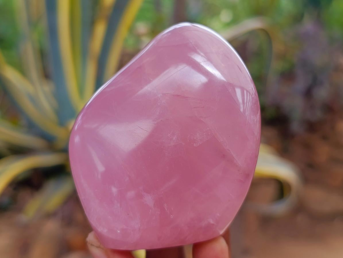 Polished Gemmy Rose Quartz Standing Display Pieces x 4 From Madagascar - Toprock Gemstones and Minerals 