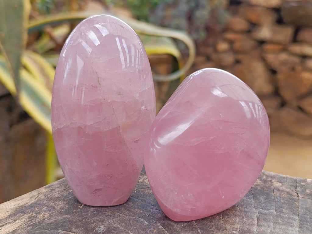 Polished Gemmy Rose Quartz Standing Display Pieces x 4 From Madagascar - Toprock Gemstones and Minerals 