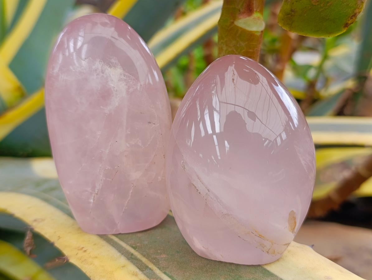 Polished Gemmy Rose Quartz Standing Display Pieces x 4 From Madagascar - Toprock Gemstones and Minerals 