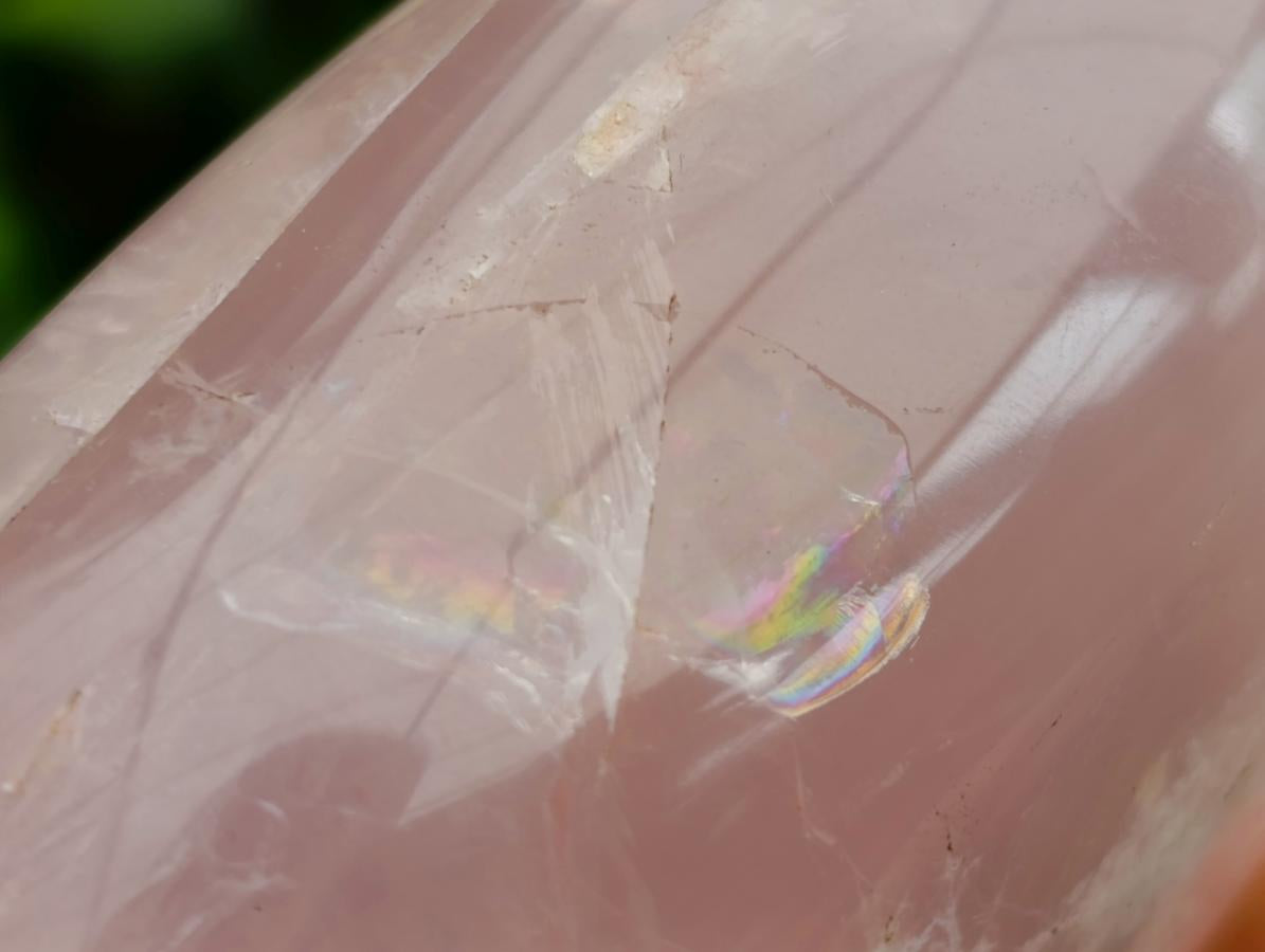Polished Gemmy Rose Quartz Standing Display Pieces x 4 From Madagascar - Toprock Gemstones and Minerals 