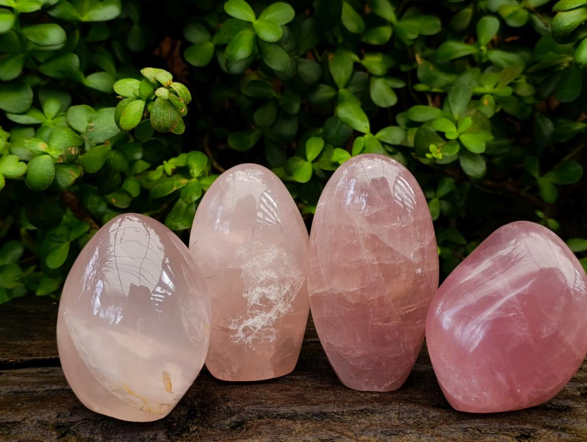Polished Gemmy Rose Quartz Standing Display Pieces x 4 From Madagascar - Toprock Gemstones and Minerals 
