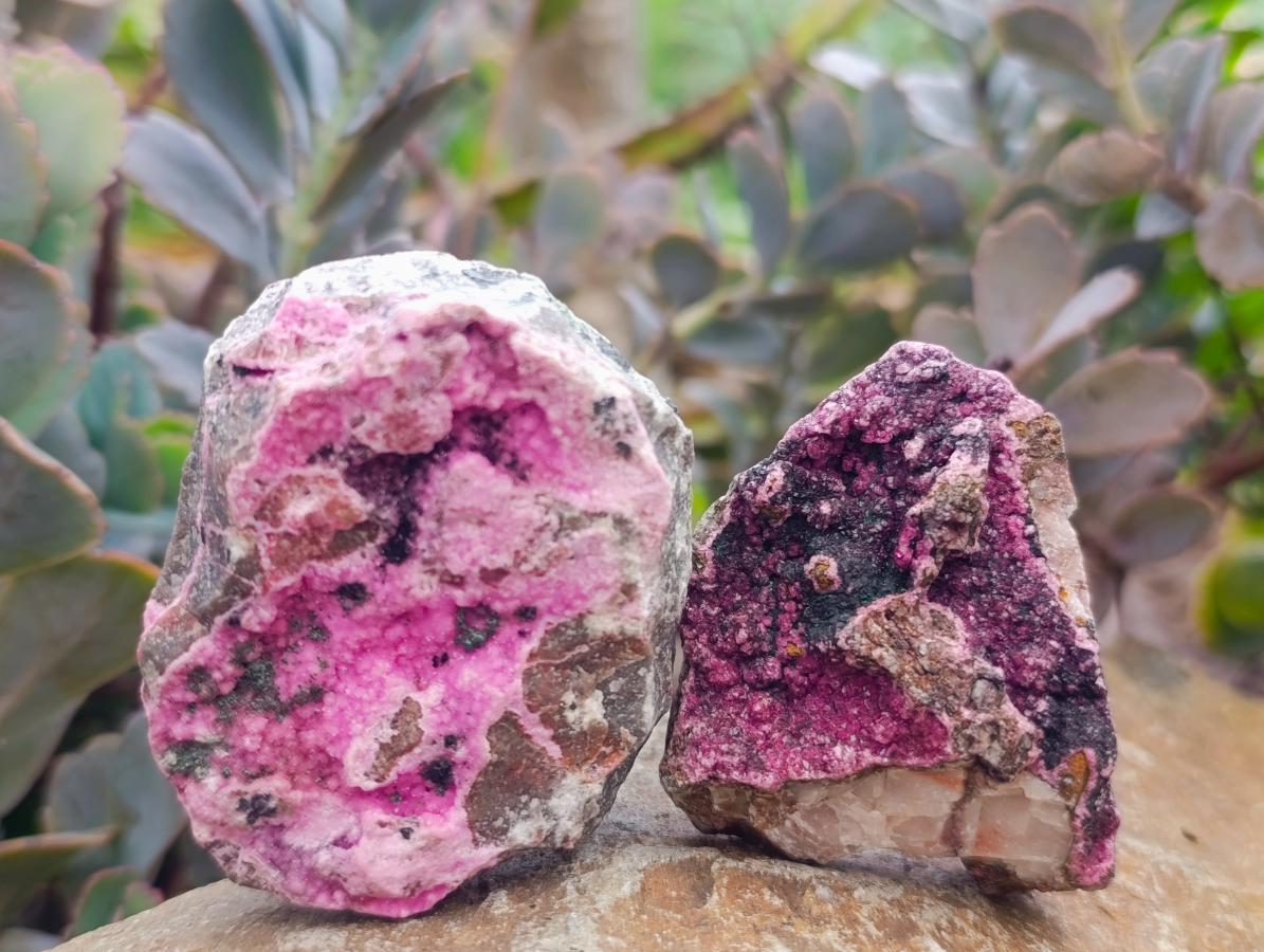 Natural Salrose Cobaltoan Dolomite Specimens x 12 From Kakanda, Congo - Toprock Gemstones and Minerals 