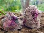 Natural Salrose Cobaltoan Dolomite Specimens x 12 From Kakanda, Congo - Toprock Gemstones and Minerals 