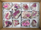 Natural Salrose Cobaltoan Dolomite Specimens x 12 From Kakanda, Congo - Toprock Gemstones and Minerals 