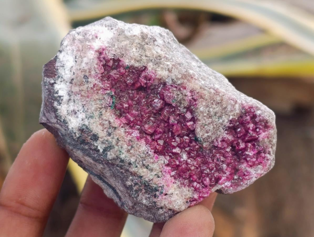 Natural Salrose Cobaltoan Dolomite Specimens x 12 From Kakanda, Congo - Toprock Gemstones and Minerals 