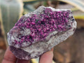 Natural Salrose Cobaltoan Dolomite Specimens x 12 From Kakanda, Congo - Toprock Gemstones and Minerals 