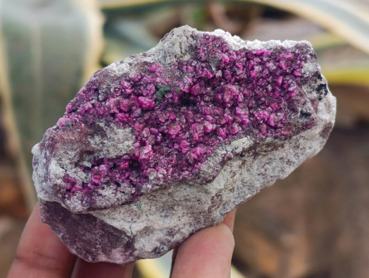 Natural Salrose Cobaltoan Dolomite Specimens x 12 From Kakanda, Congo - Toprock Gemstones and Minerals 