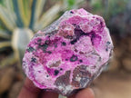 Natural Salrose Cobaltoan Dolomite Specimens x 12 From Kakanda, Congo - Toprock Gemstones and Minerals 