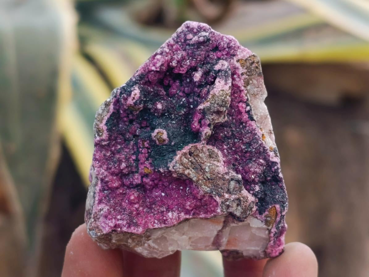 Natural Salrose Cobaltoan Dolomite Specimens x 12 From Kakanda, Congo - Toprock Gemstones and Minerals 
